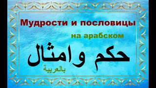 Мудрости и пословицы на арабском языке