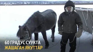 -60 градус суукта күн көргөн якуттар