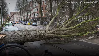 Буря в Нидерландах. Ветер срывает крыши с домов и валит деревья
