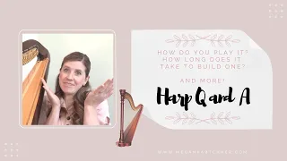 Harp Question and Answer, Part 2 | A harp costs how much?!