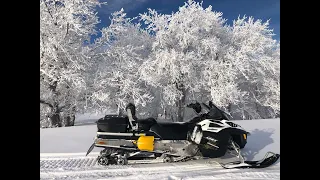 Зимняя охота на кабана с вышки