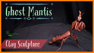 Sculpting Ghost Praying Mantis (Phyllocrania paradoxa)_Polymer Clay_LifeofClay