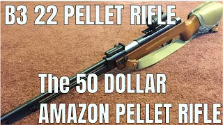 B3 22 Pellet Rifle or Norinco Pellet Rifle or the 50 Dollar Chinese Amazon Pellet Rifle