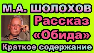 М.А. Шолохов. Рассказ «Обида». Краткое содержание.