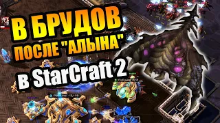 РЕЗКИЙ ПЕРЕХОД В БРУДОВ ПОСЛЕ МОЩНОГО АЛЫНА: (G8)hero vs dark. Профессиональный StarCraft 2