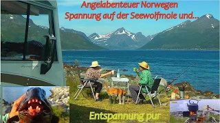 Norwegen mit Wohnmobil & Angel: Spannung auf der Seewolfsmole , Senja und....