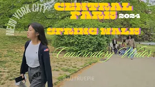 Central Park Spring Season Walking Tour Part 2 | Conservatory Water | 5th Ave | 8th Ave...more