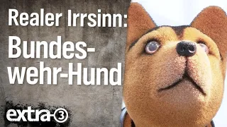 Realer Irrsinn: Tierarztrechnung für Bundeswehr-Hund | extra 3 | NDR