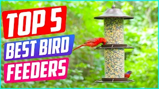 ✅ Top 5: Best Bird Feeder For Small Birds 2022 [Tested & Reviewed]