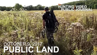 Public Land Day 14: | Hunting the Buck Nest | The Hunting Public