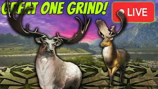 Chasing Great One Fallow Deer #3! Lets Hope We Get Our Favorite Combo! Bears After! Call of the wild