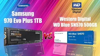 Samsung 970 Evo Plus 1TB vs Western Digital WD Blue SN570 500GB Comparison