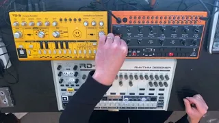 Ten Minute Acid House / Techno Jam #3 - Behringer Rd-9 Td-3 Crave & Ultra Fuzz Pedal