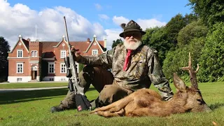 Roe Buck Hunting Sweden