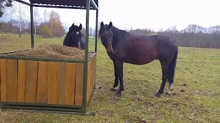 DIY hay feeder for horses