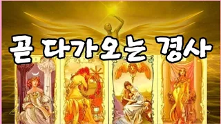 [타로] 곧 다가오는 경사로 근심과 걱정이 사라지실겁니다 🙏#운세 #꽃