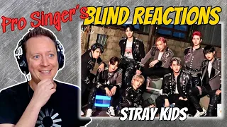 Stray Kids! My First Ever K-Pop Music Video, and I'm Blown Away!