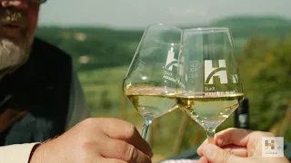 Mein Lieblingsplatz in Hammelburg- Folge 1: terroir f-Teaser