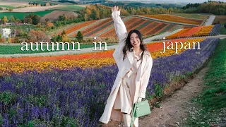 Where To Go in Japan Autumn & Winter Season! 🇯🇵 spill itinerary! best foods, flower fields, etc