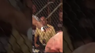 Anderson Silva destruindo seu adversário