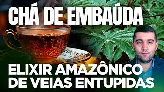 Chá da Embaúba: potente remédio natural de má circulação e coágulos sanguíneos que entopem as veias