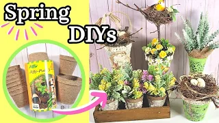 Gorgeous Nature-Inspired Spring Crafts Using Garden Peat Pots ~ A Must See!!