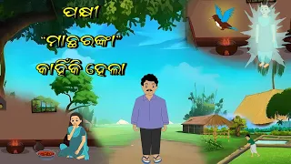 ପକ୍ଷୀ ମାଛରଙ୍କା କାହିଁକି ହେଲା #ପିଲାଙ୍କ କାହାଣୀ #କିଡ଼ସ  ଟି ଭି ଓଡ଼ିଆ