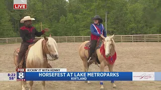 Kenny couldn't be happier surrounded by horses at Lake Metroparks Horsefest