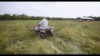 Adaptive Grazing 101: How to Avoid Internal and External Parasites