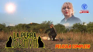 ""La Perra Brava"" Película Completa ✅