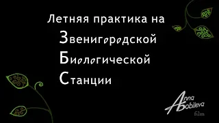 Летняя практика на Звенигородской биологической станции МГУ 2018