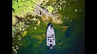 How To Fish Fallen Trees for BIG BASS- WEB EXCLUSIVE