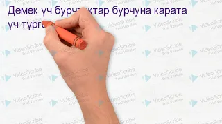 Үч бурчтуктардын түрлөрү