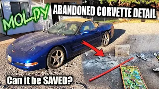 10+ Hour Detail on my MOLDY Abandoned C5 Corvette... Can it be saved?
