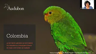 An Inside Look: Birding + Conservation in Colombia