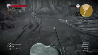 Witcher 3 epic sword spin kill