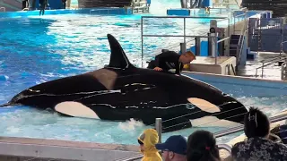 Sea World (San Antonio)