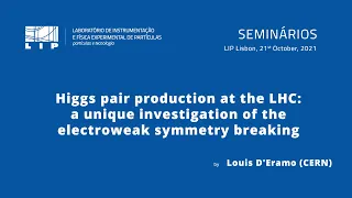 Higgs pair production at the LHC: a unique investigation of the electroweak symmetry breaking