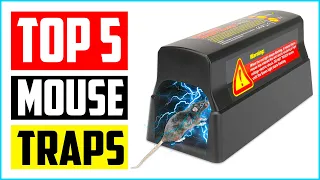 TOP 5 BEST ELECTRIC MOUSE TRAPS IN 2021 REVIEWS