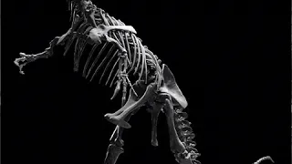 Pleistocene | Wikipedia audio article