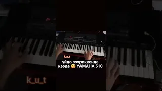 Теңдик Курманбаев PSR 510