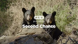 H-E-B | Our Texas, Our Future Films: Second Chance