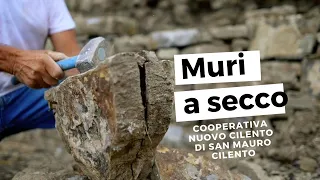 Muri a secco - Cooperativa Nuovo Cilento [Piccolo documentario]