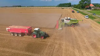 CLAAS LEXION 780 TT 12.30 m. BIG Harvest in the Netherlands