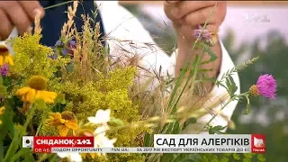 Які рослини можна вирощувати алергікам