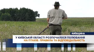 У Київській області розпочалося полювання на птахів. Правила та відповідальність