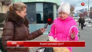 11.11.2016 Блиц: "Какого размера крот?"