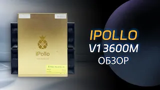 [iPollo V1Miner Review Report] 3600MH/s арифметика, двойное копание ETC, ETHW, стоит ли приобретать?