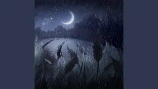 一个人的浪漫（钢琴版）一起来看流星雨