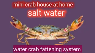 crab farming salt water